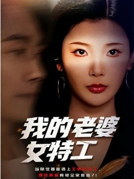 我的老婆女特工